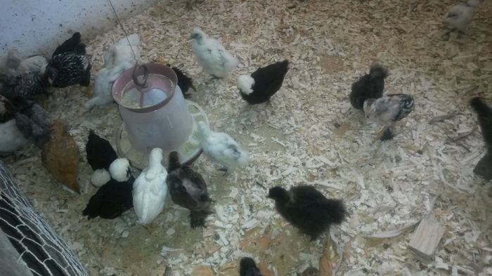 20160413 - Start 2016