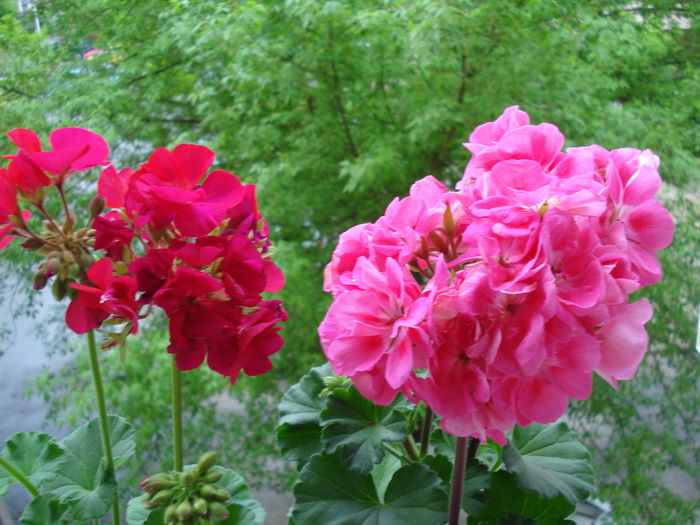DSC05041