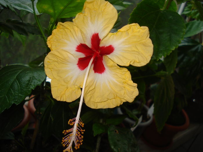 DSC05050