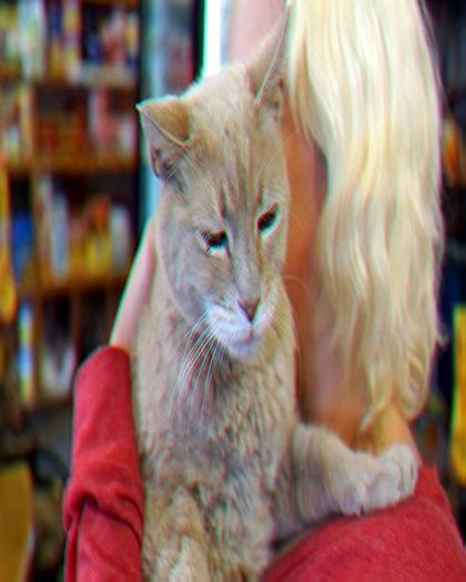 »雅 清.; O pisică numită Stubbs e primarul unui orășel cu numele de Talkeetna, Alaska. Felina ocupă - facts