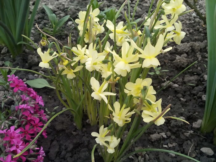 IMG_20160414_151411 - 2016 Primavara