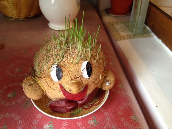 IMG_0197 - 0-Contact