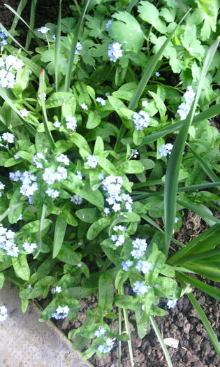 IMG_20160413_181837[1]