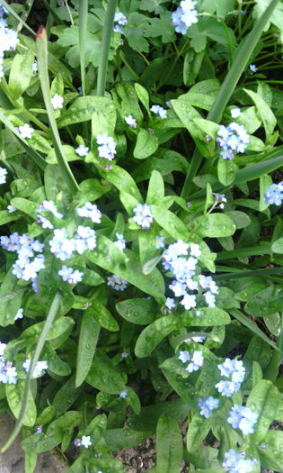 IMG_20160413_181841[1]