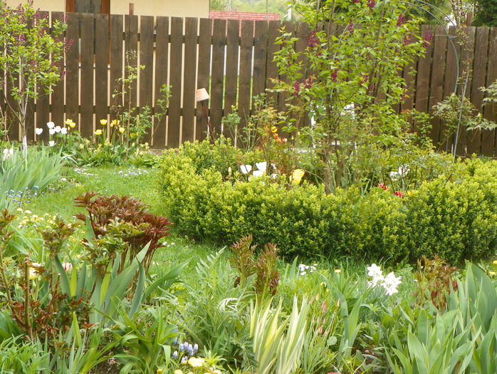 14 apr (58)