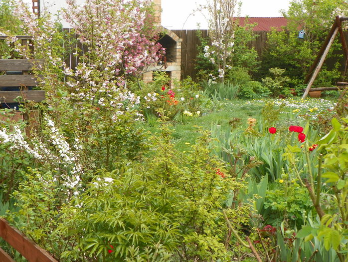 14 apr (64)