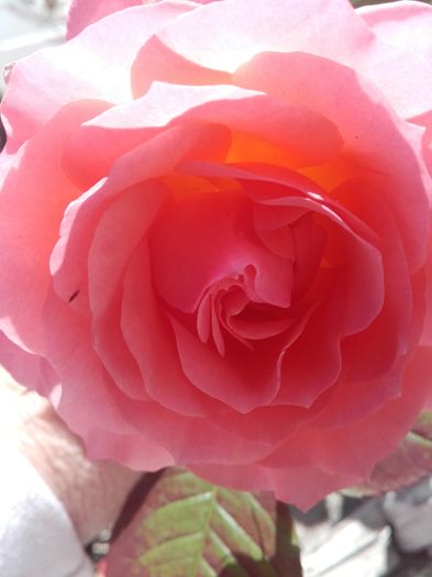 20160415_114923