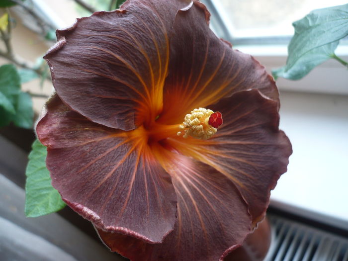 P1250763