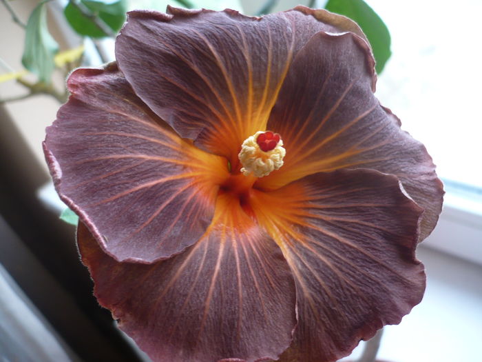 P1250766