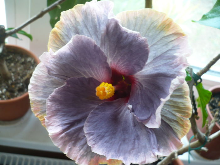 P1250768