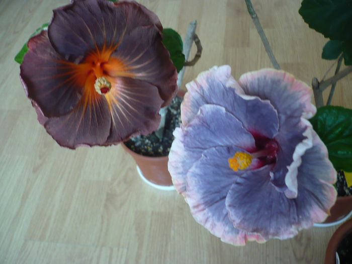 P1250771