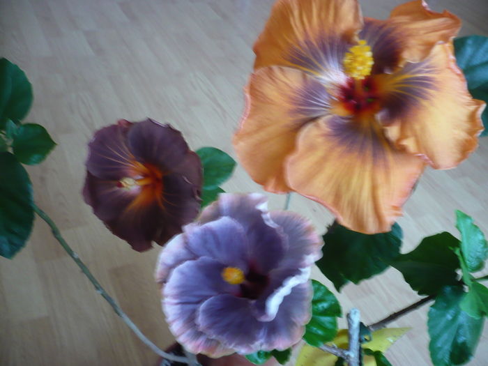 P1250772