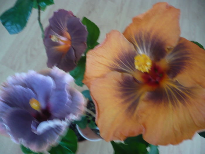 P1250773
