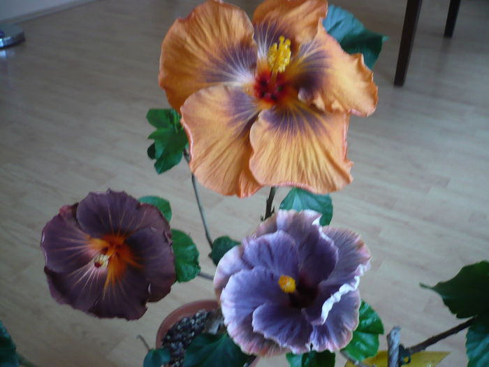 P1250776