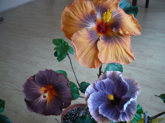 P1250777