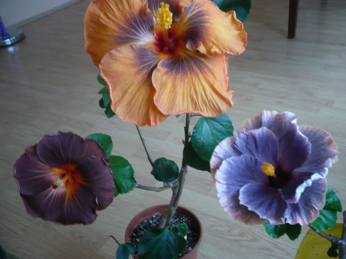 P1250778