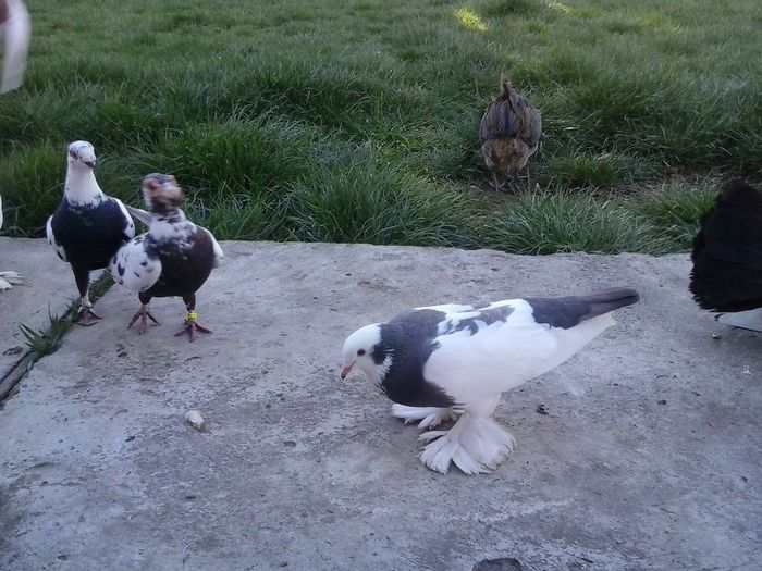 2016-04-15 17.57.43 - Instantanee 2016