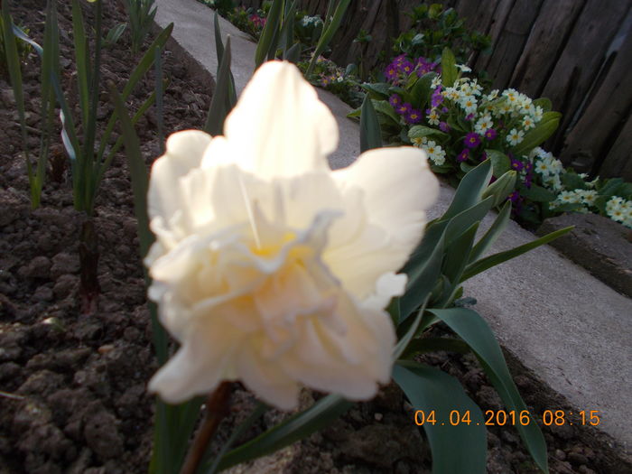 Copy of DSCN1410