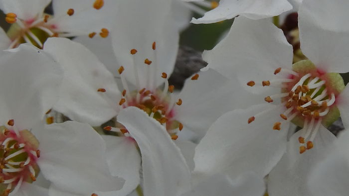 DSC06233