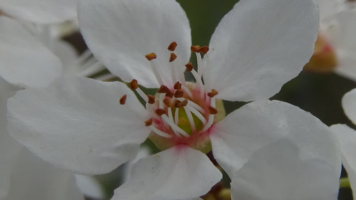 DSC06240