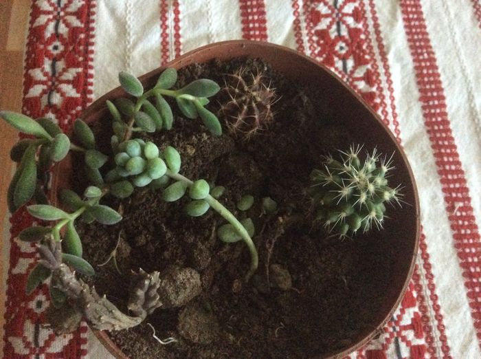 i; Multumesc domnu marcu
