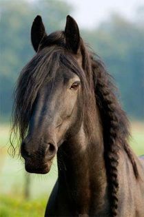 FB_IMG_1460787225601