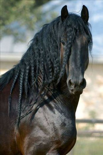 FB_IMG_1460787353375