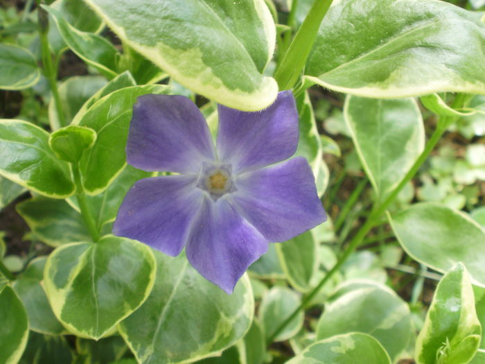 P3140074