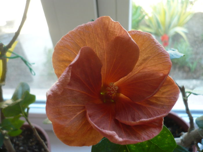 P1250786
