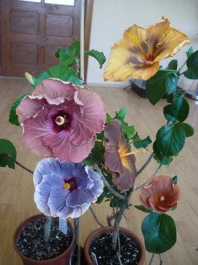P1250789