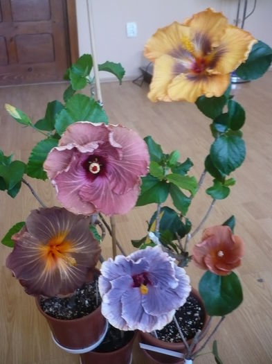P1250790