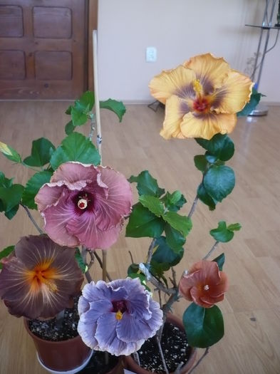 P1250793