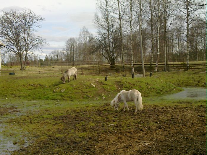 20090101_003