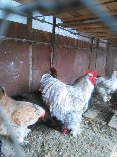 2016-03-12 11.18.07 - Arhiva 2011-2016