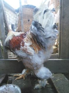 1457774824056 - Arhiva 2011-2016