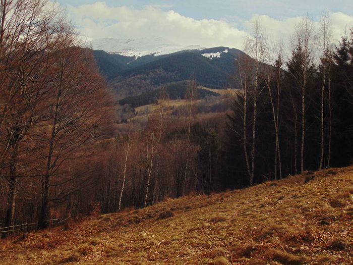 DSC04246 - Primavara 2016