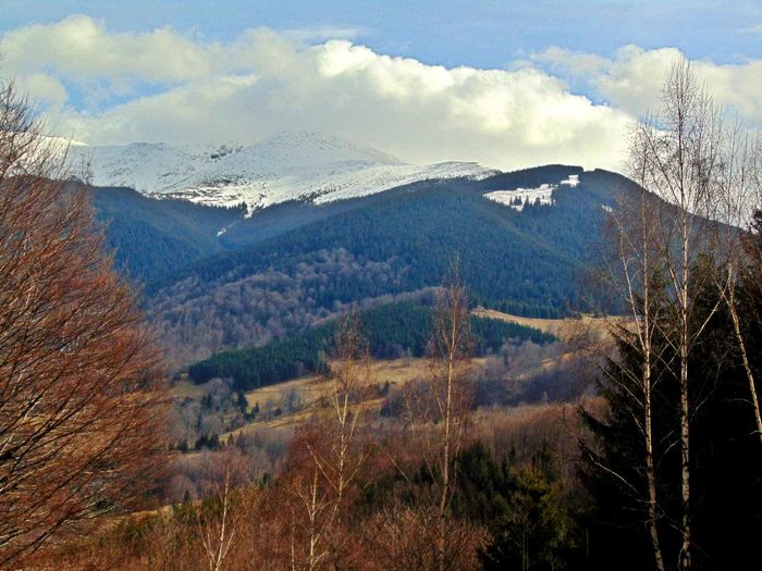 DSC04247 - Primavara 2016