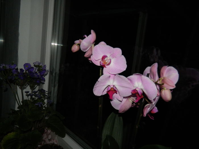 DSCN4763