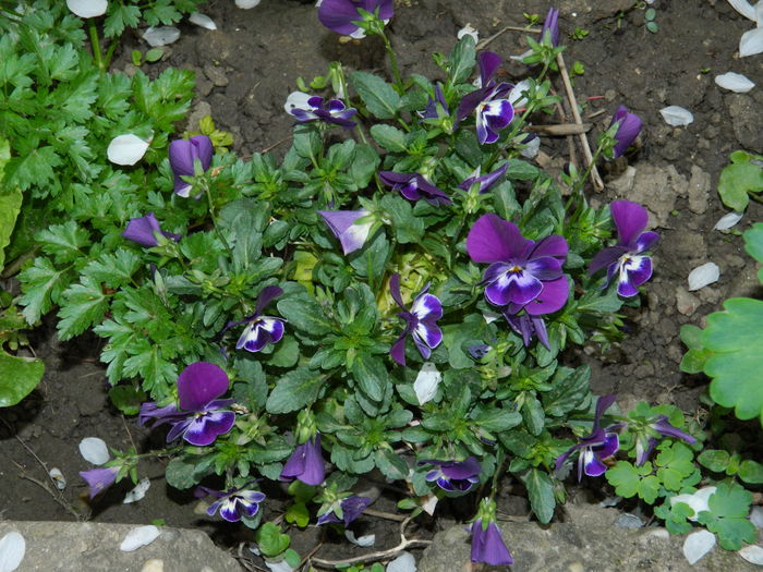 DSCN4812