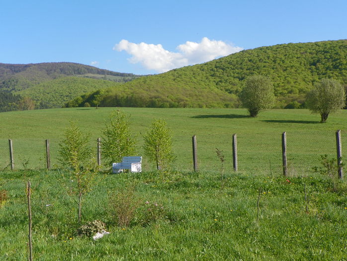 16 apr (47) - z-Dobarland 2016