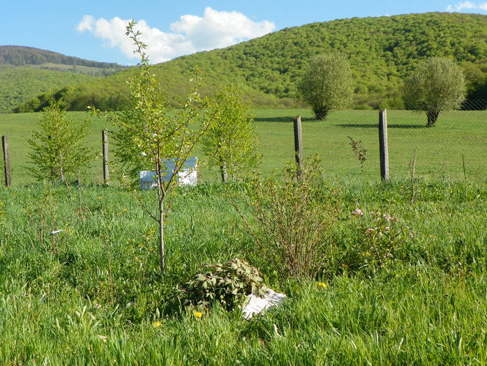 16 apr (49) - z-Dobarland 2016