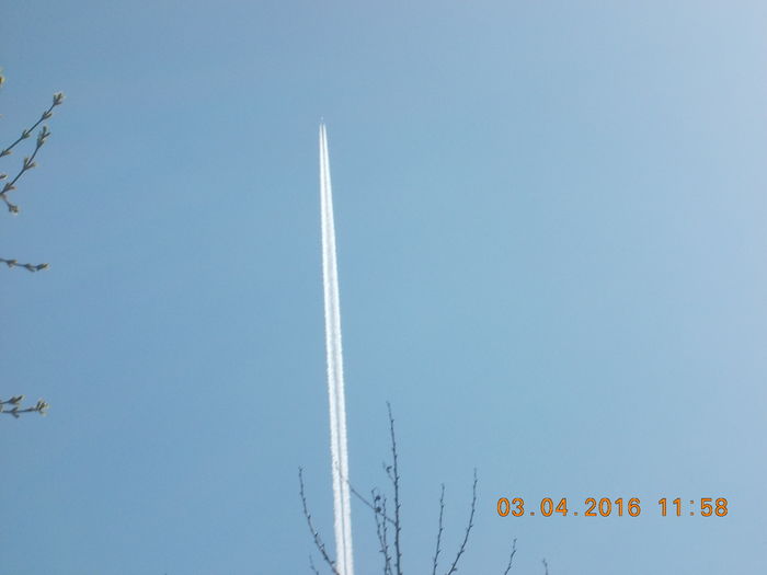 DSCN0618 - PARCUL IOR APRILIE 2016