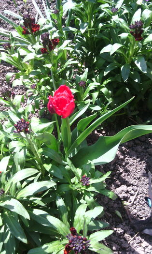 IMG_20160416_152424[1]
