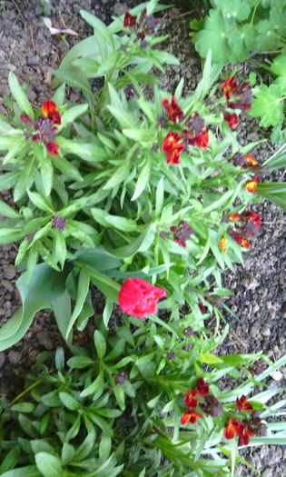 IMG_20160417_085614[1]