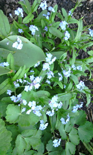 IMG_20160417_085633[1]