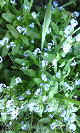 IMG_20160417_085641[1]