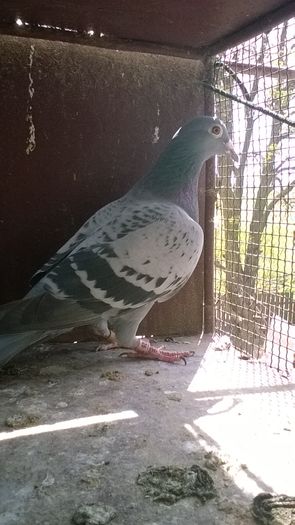 WP_20160417_11_37_06_Pro