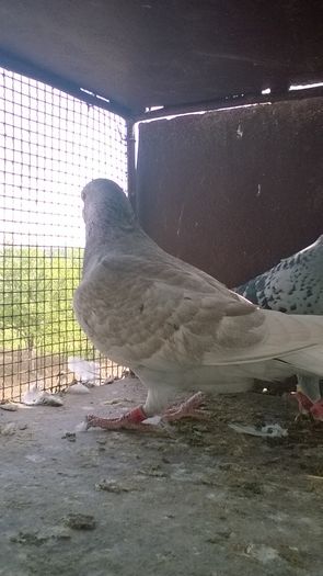 WP_20160417_11_43_08_Pro