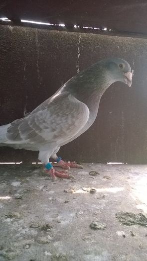 WP_20160417_11_44_18_Pro