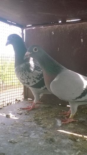 WP_20160417_11_47_31_Pro